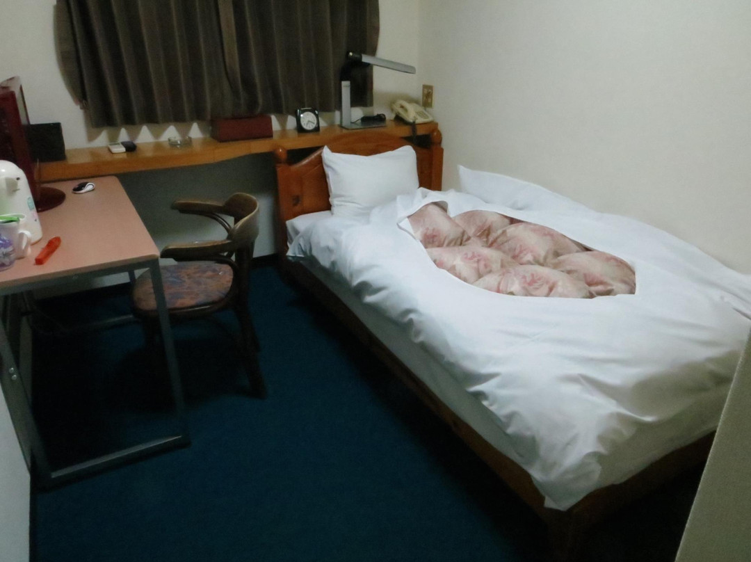 Hotel Axia Inn Hagi
