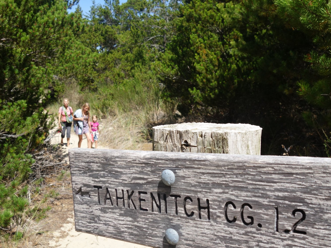 Tahkenitch Creek Loop Trail景点图片