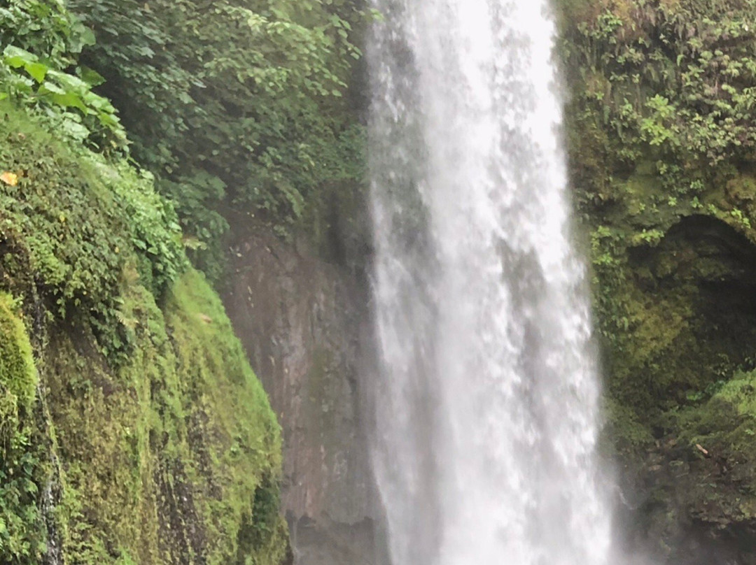 La Paz Waterfall Gardens景点图片