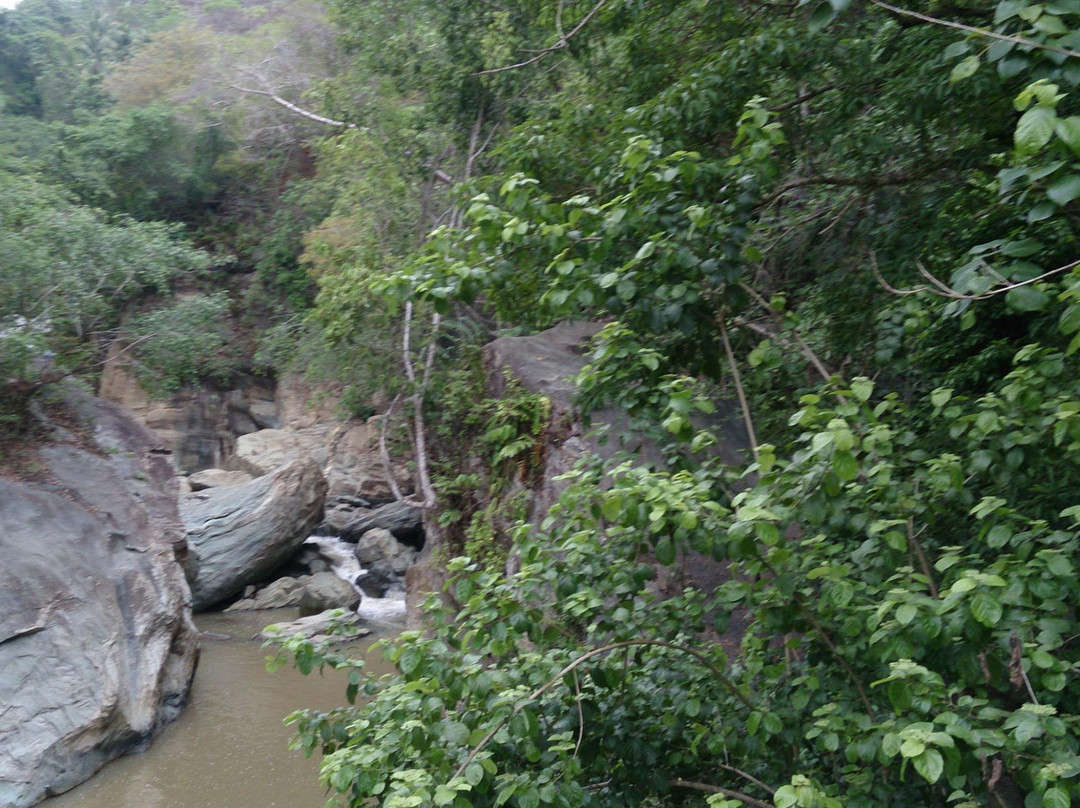 F.S. Catanico Falls景点图片