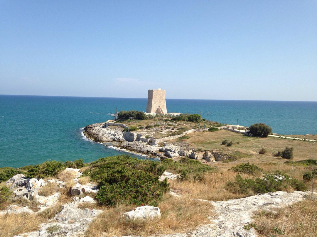 Torre di Porticello景点图片