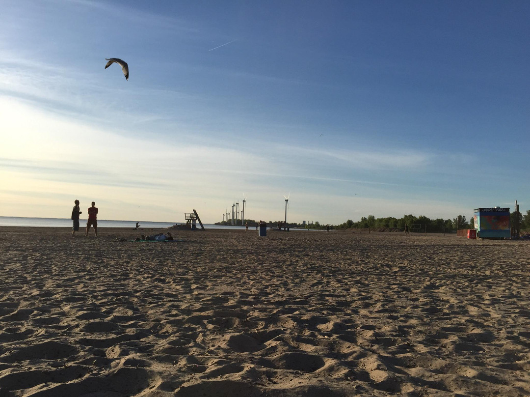 Woodlawn Beach State Park景点图片
