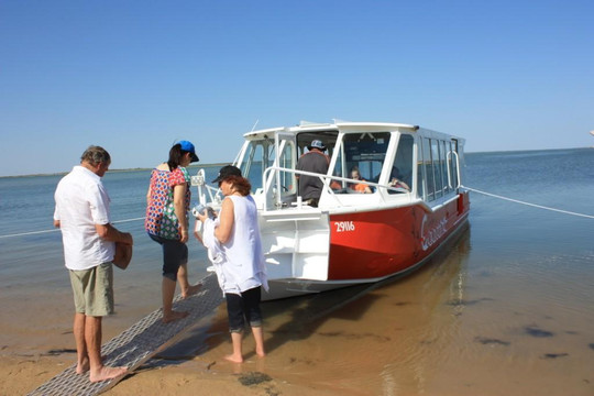 Cruise The Coorong-Goolwa必去景点