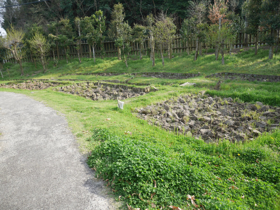 Matsurokan-唐津市必去景点