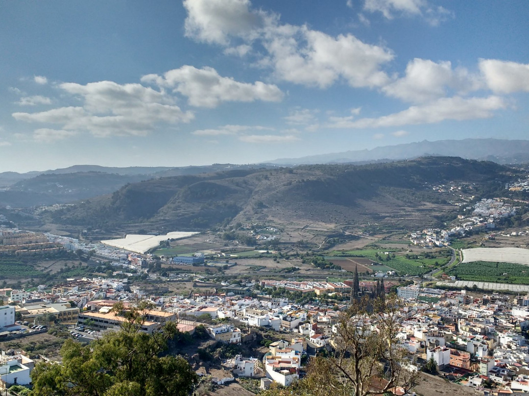 Mirador de Arucas景点图片