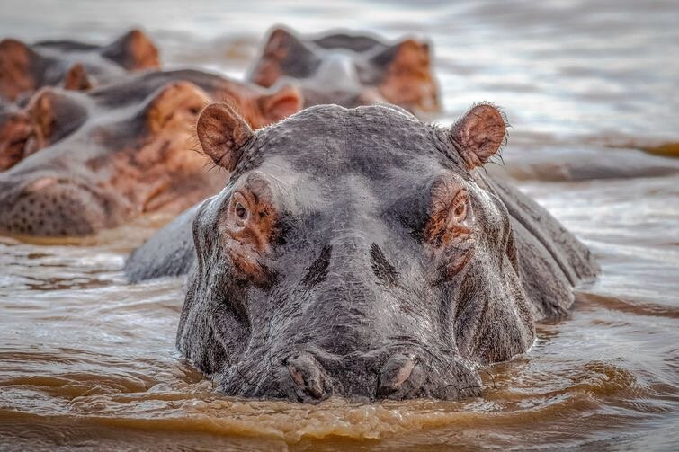 Heritage Tours & Safaris-圣露西亚必去景点