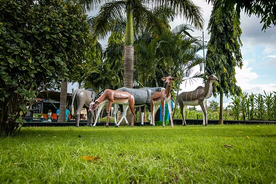 Kibo Peak Palace Hotel主图