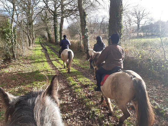 Rêver Réalité-Champeaux必去景点