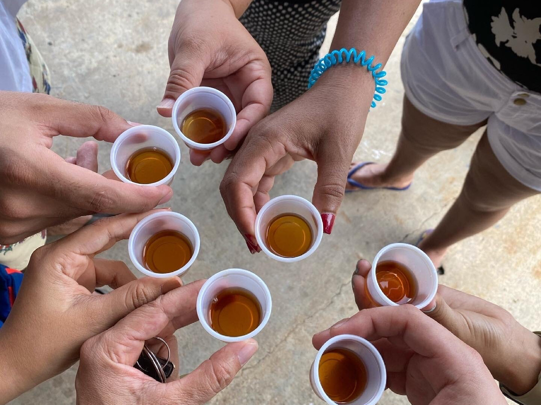 Crab Island Rum Distillery-维切克岛必去景点