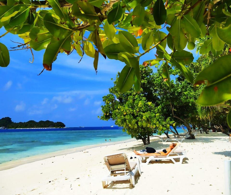 Holiday Garden Rasdhoo主图