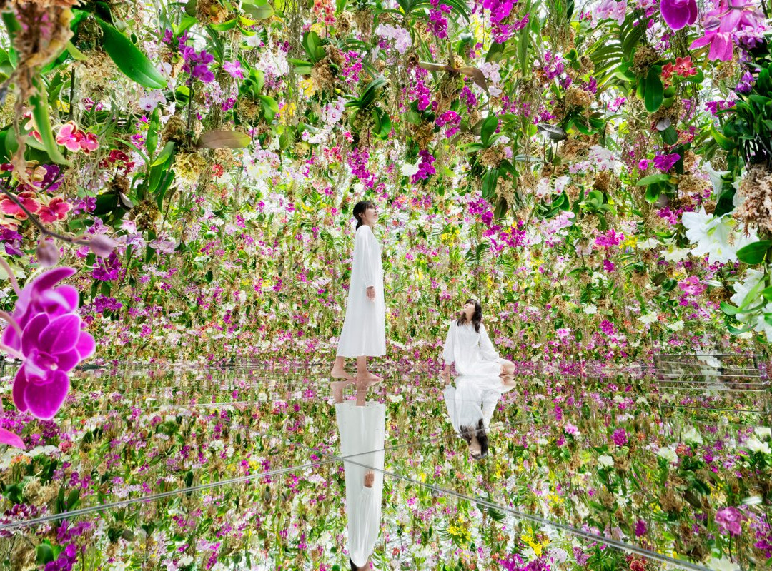 teamLab Planets TOKYO景点图片