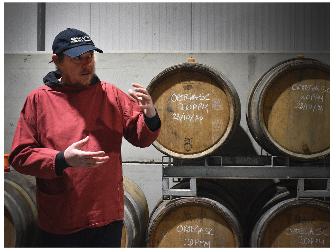 Westwell Wine Estate景点图片
