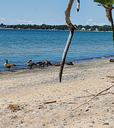 Hadovka Lakeside Inn主图