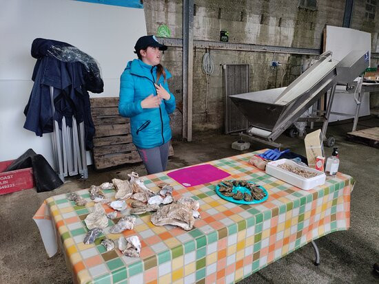 DK Connemara Oysters-Dawros More必去景点