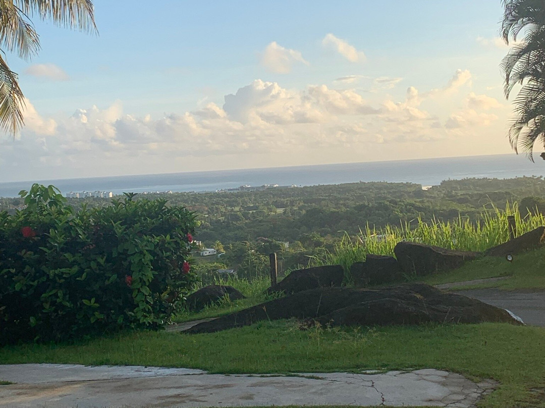 Rainforest & Ocean View Inn at Hacienda Carabali主图