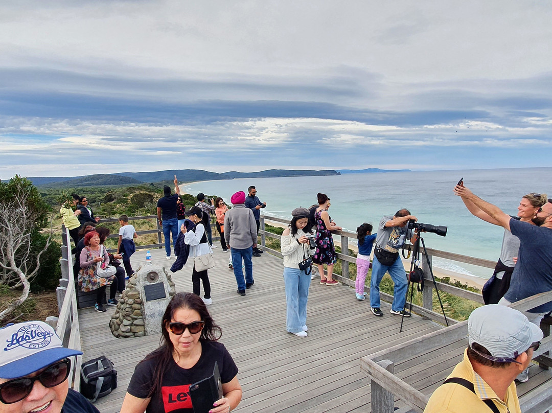 The Neck Lookout-North Bruny必去景点