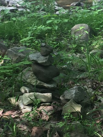 Pacem in Terris Sculpture Garden景点图片