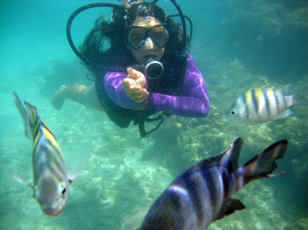 WPD TUR-Maceio必去景点