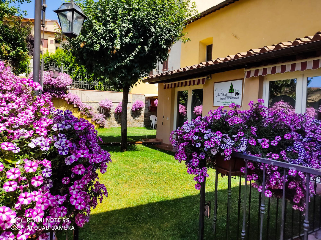 San Piero A Sieve旅游攻略图片