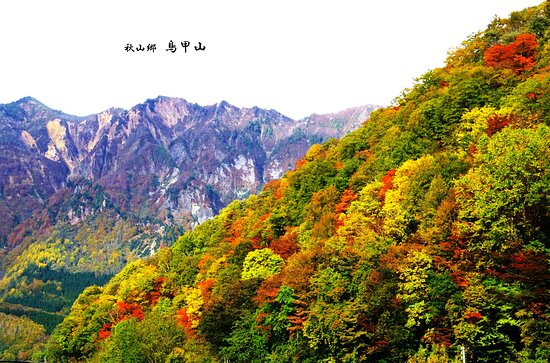 Akiyamago景点图片