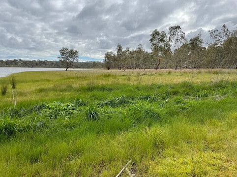 Barkers Creek Reservoir-Harcourt必去景点