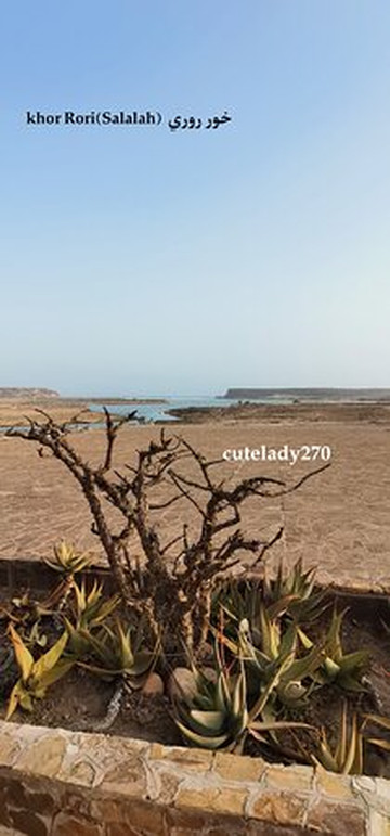 Khor Ruri-Dhofar Governorate必去景点