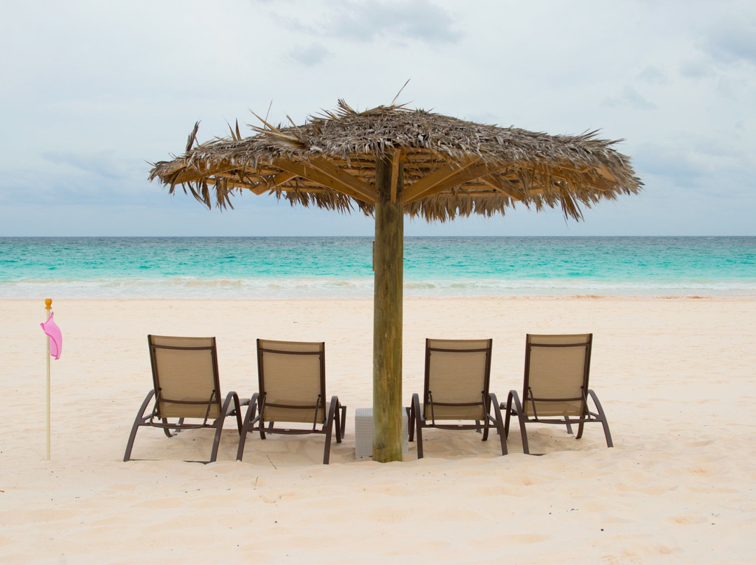 粉红沙滩度假酒店主图