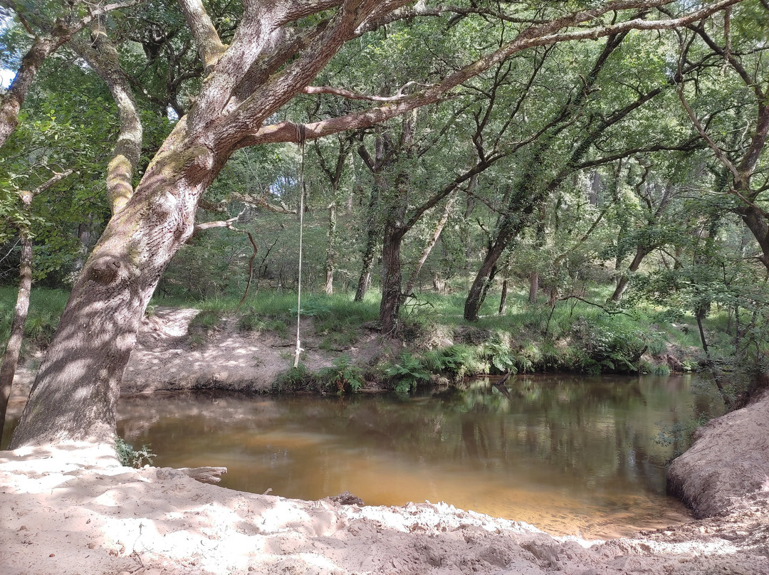 Camping municipal