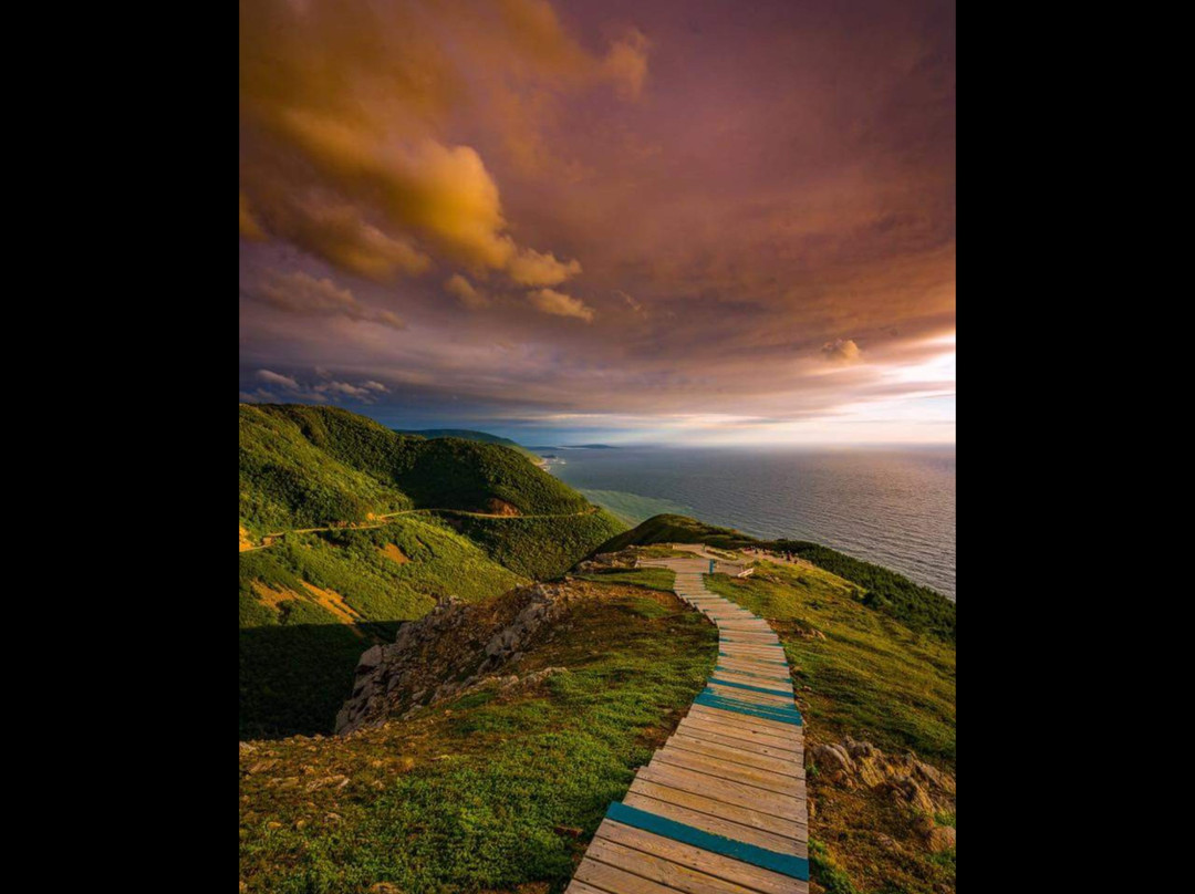 The Poplar B&B主图