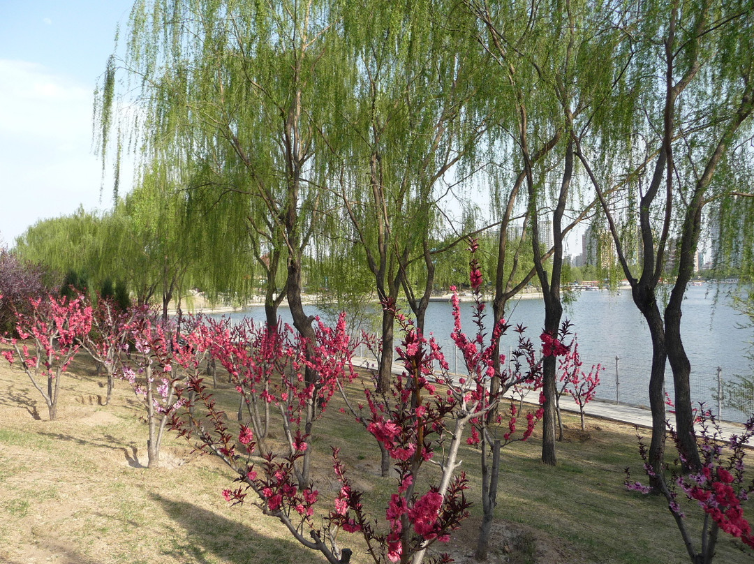 朝阳公园-北京市必去景点