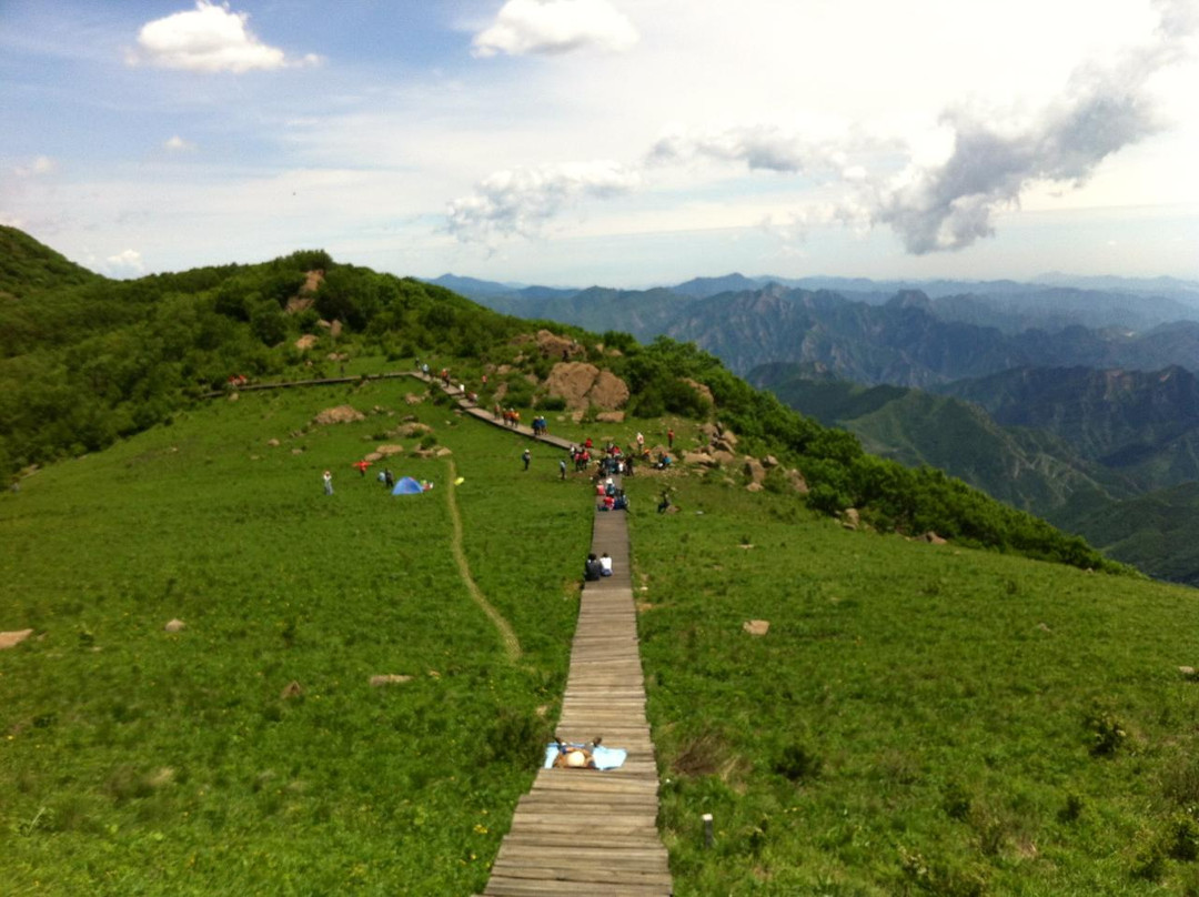 百花山国家级自然保护区-北京市必去景点