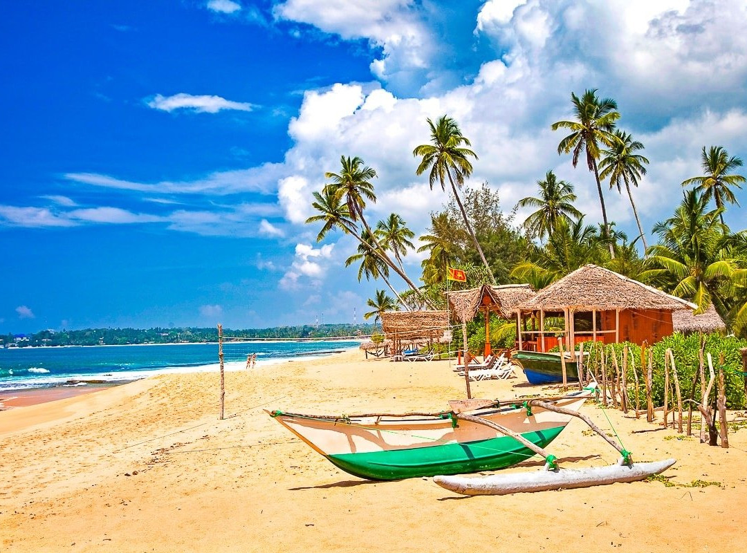 Hummingbird paradise-斯里贾亚瓦德纳普拉必去景点