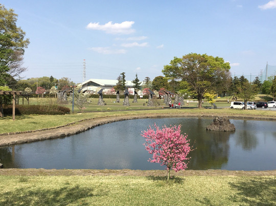 八千代町旅游攻略图片