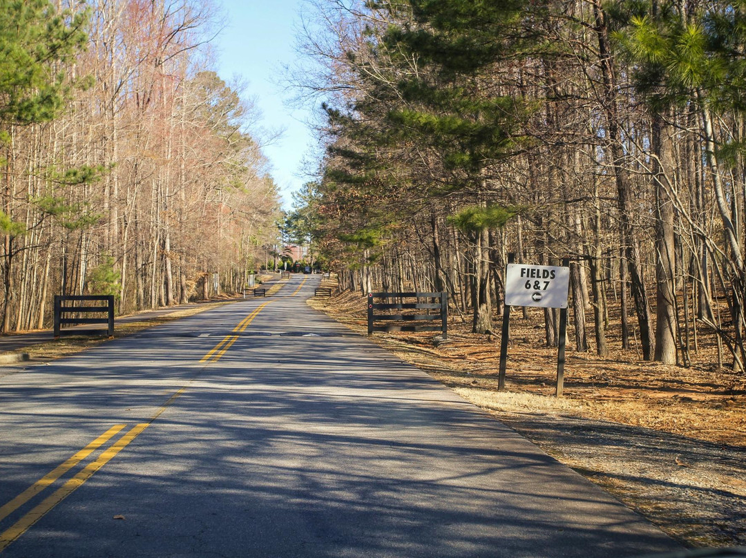 阿尔法利塔旅游攻略图片