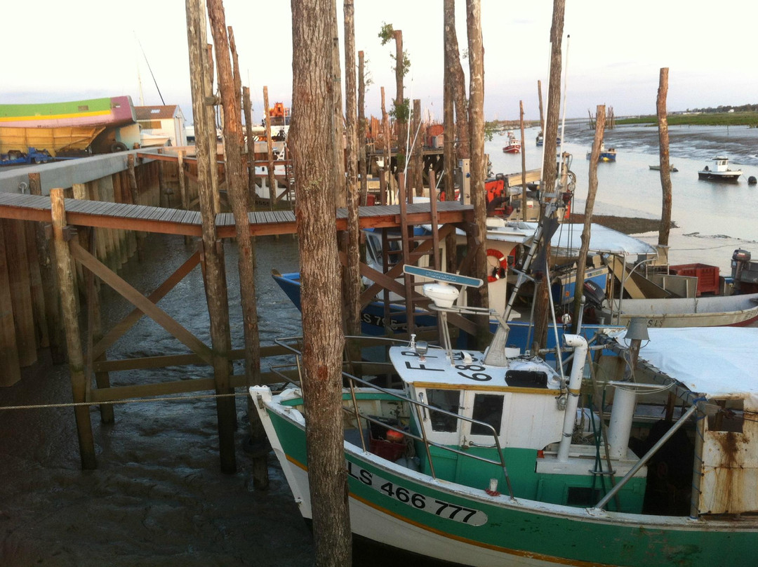 L'Aiguillon-sur-Mer旅游攻略图片