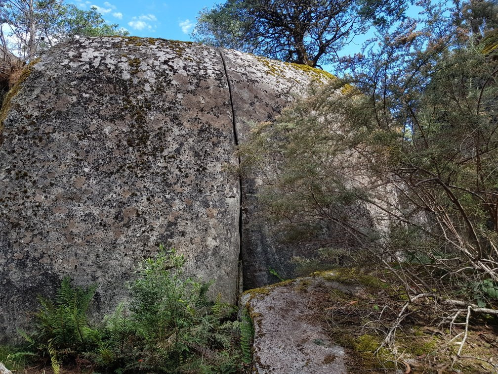 Erica旅游攻略图片