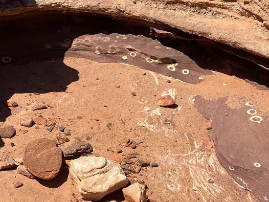 Mushroom Rock Walk Trail景点图片