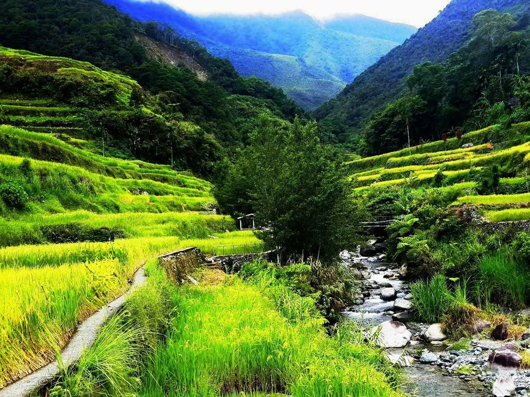 Hapao Rice Terraces景点图片