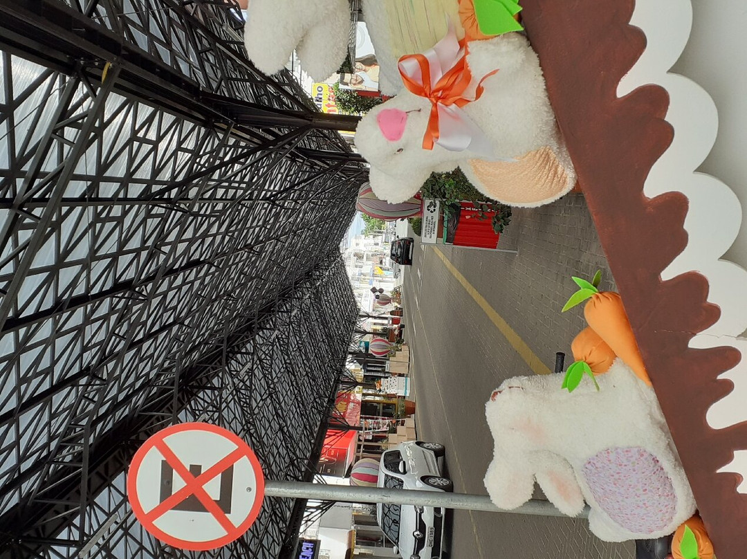 Rua Coberta De Sombrio