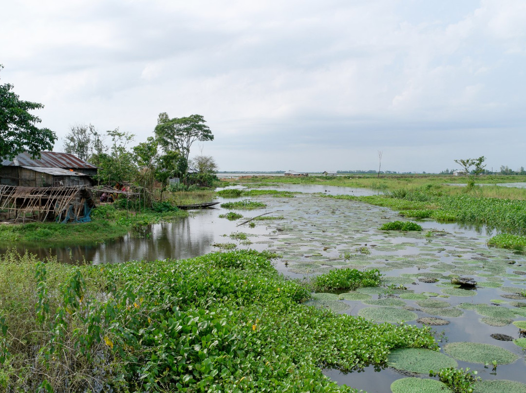 Baikka Beel Wetland Sanctuary景点图片