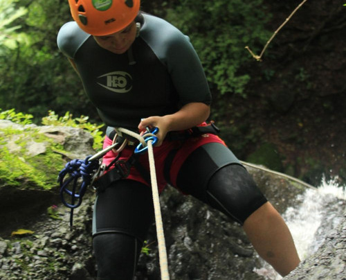 Tlacuache Adventures