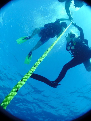 Dreamtime Dive Center-Mahahual必去景点