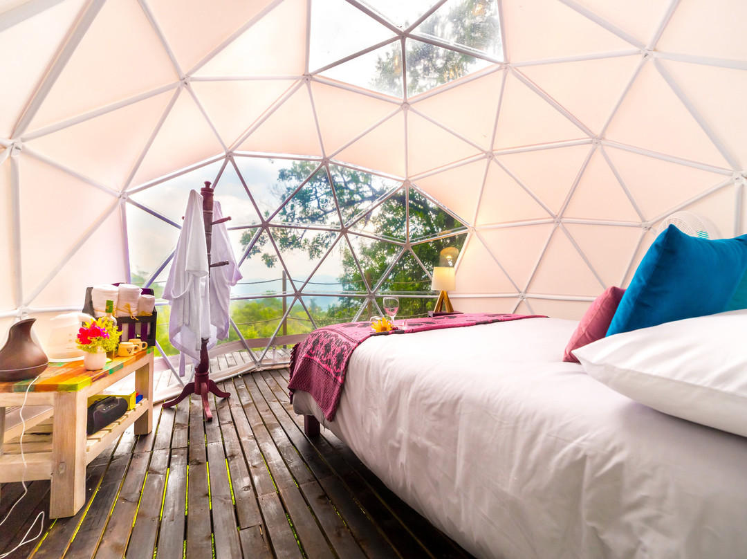 Salvia Glamping
