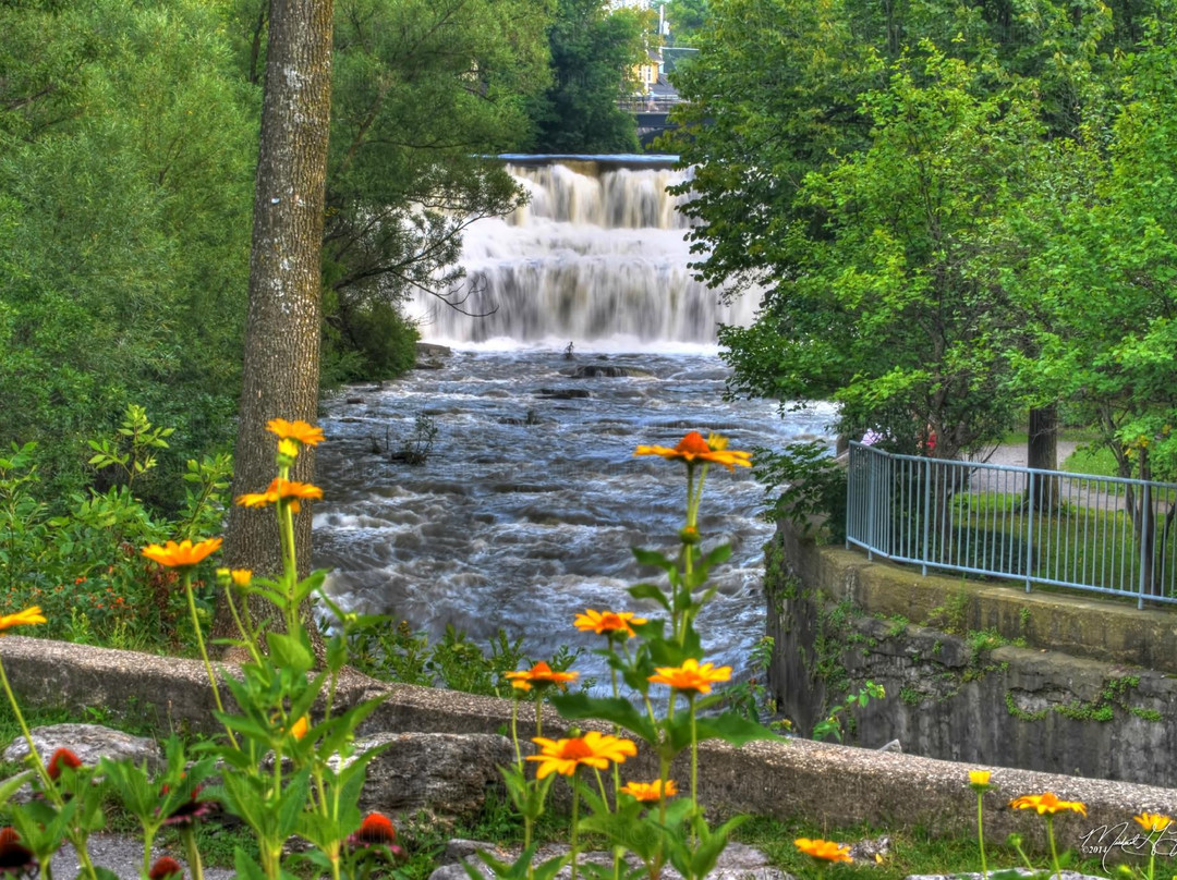 Williamsville旅游攻略图片