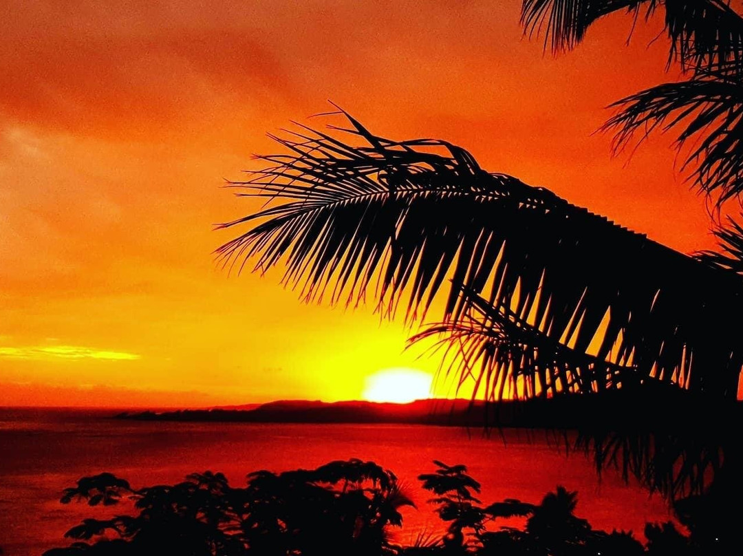 Sunny Beach Tours Fiji