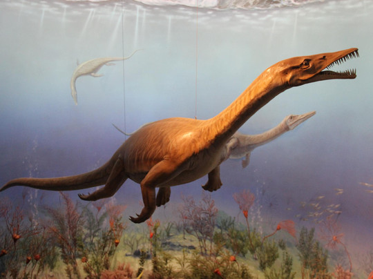 浙江自然博物馆-杭州市必去景点