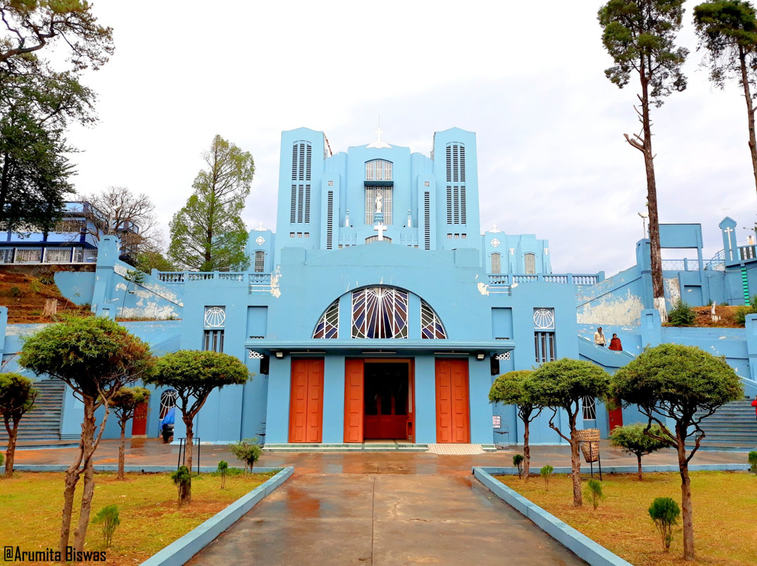 Cathedral of Mary Help of Christians景点图片