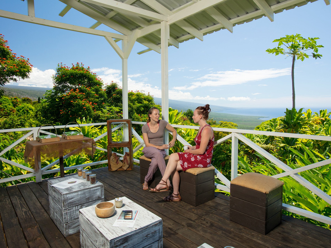 库克船长旅游景点-Hala Tree Coffee