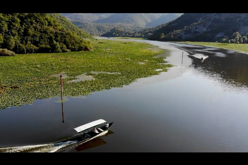 Skadar Lake Family Resort景点图片