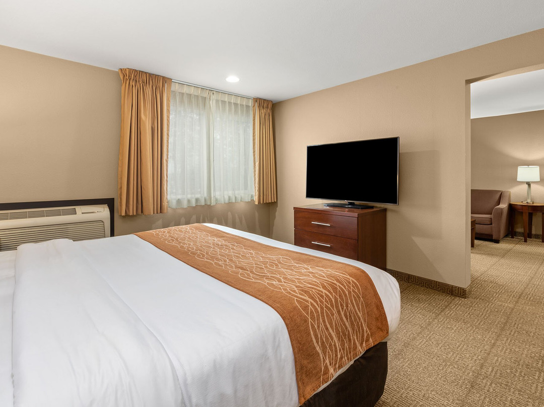Comfort Inn & Suites Beaverton - Portland West主图